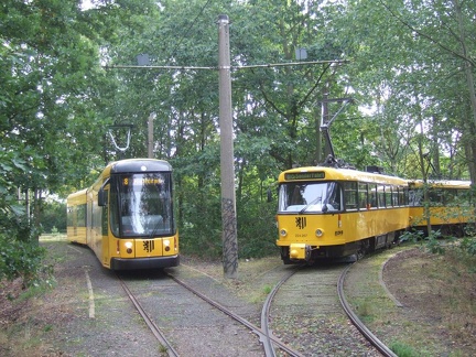 Diebsteig