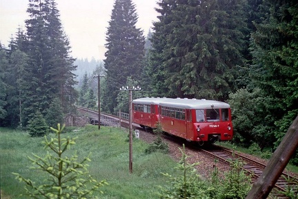 zwischen Hammerücke und Tannenbergsthal
