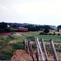 Barbelroth