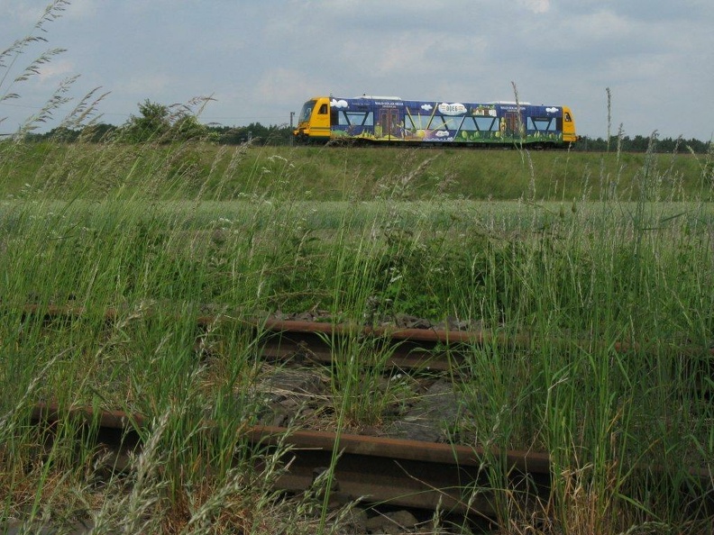 p000570.jpg