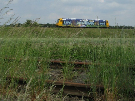 Güsen (bei Magdeburg)