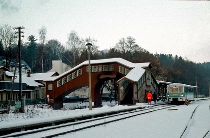 Wiesenbad