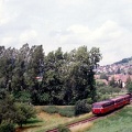 Schäftersheim