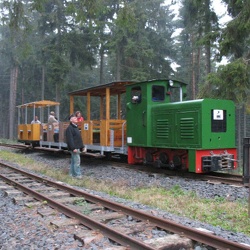 2006