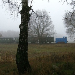 Sonderzug Mesendorf – Lindenberg (Prignitz) u. z.