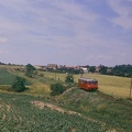 zwischen Schochwitz und Gottgau