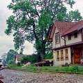 Urlau