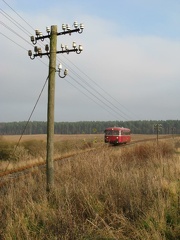 Damerower Forst