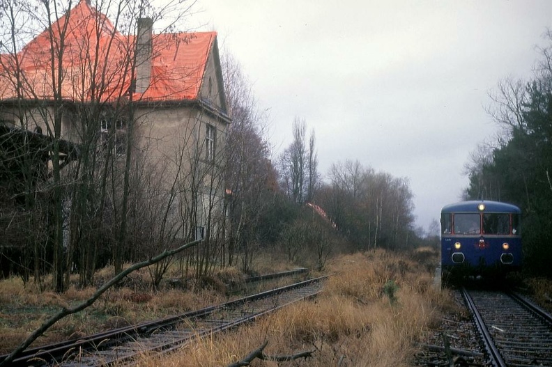 p000559.jpg