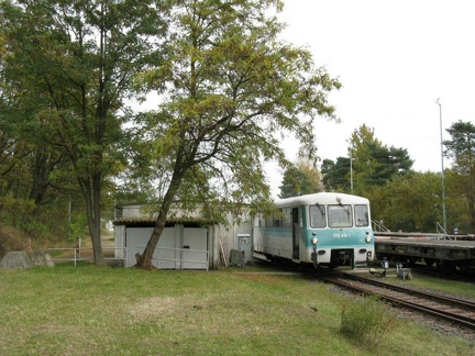 Weißkeißel